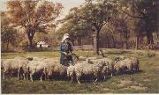 Sheep 179 unknow artist